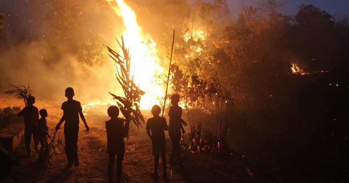 Urban vs Rural Fire Deaths – The Hidden Divide