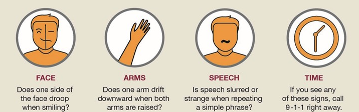 🧠 Survival Rate of Stroke Patients with Timely Action