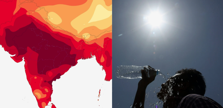 ☀️ Heat Stroke Deaths in India – Latest Trends (2019–2025)