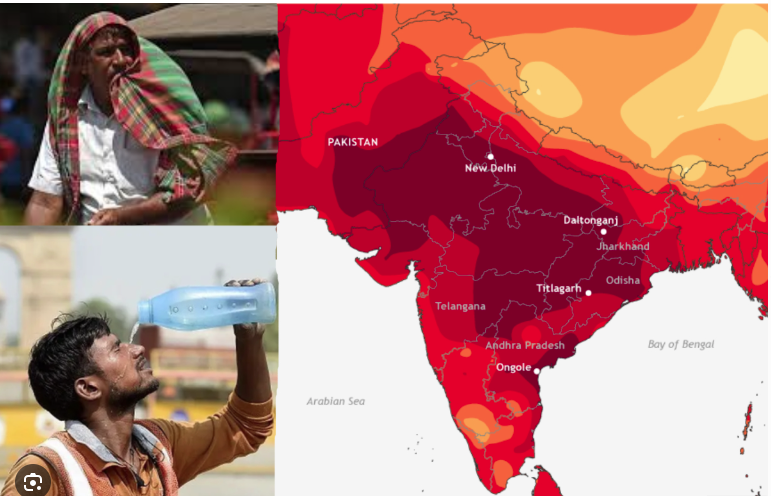☀️ Impact of Extreme Heat Waves on Mortality Rates (2019–2025)
