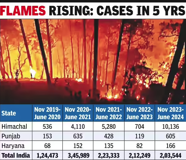 🌲 Forest Fire Data (Uttarakhand, Himachal) – 5-Year Trend (2019–2025)