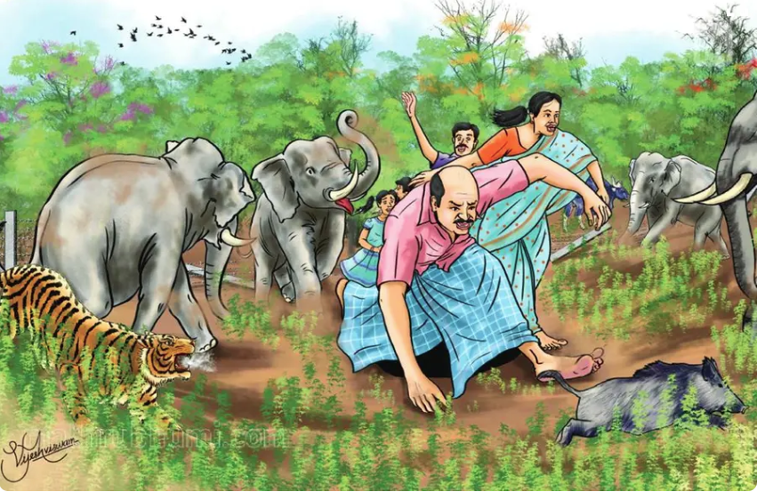 🐾 Human–Wildlife Conflict After Natural Disasters (2019–2025)