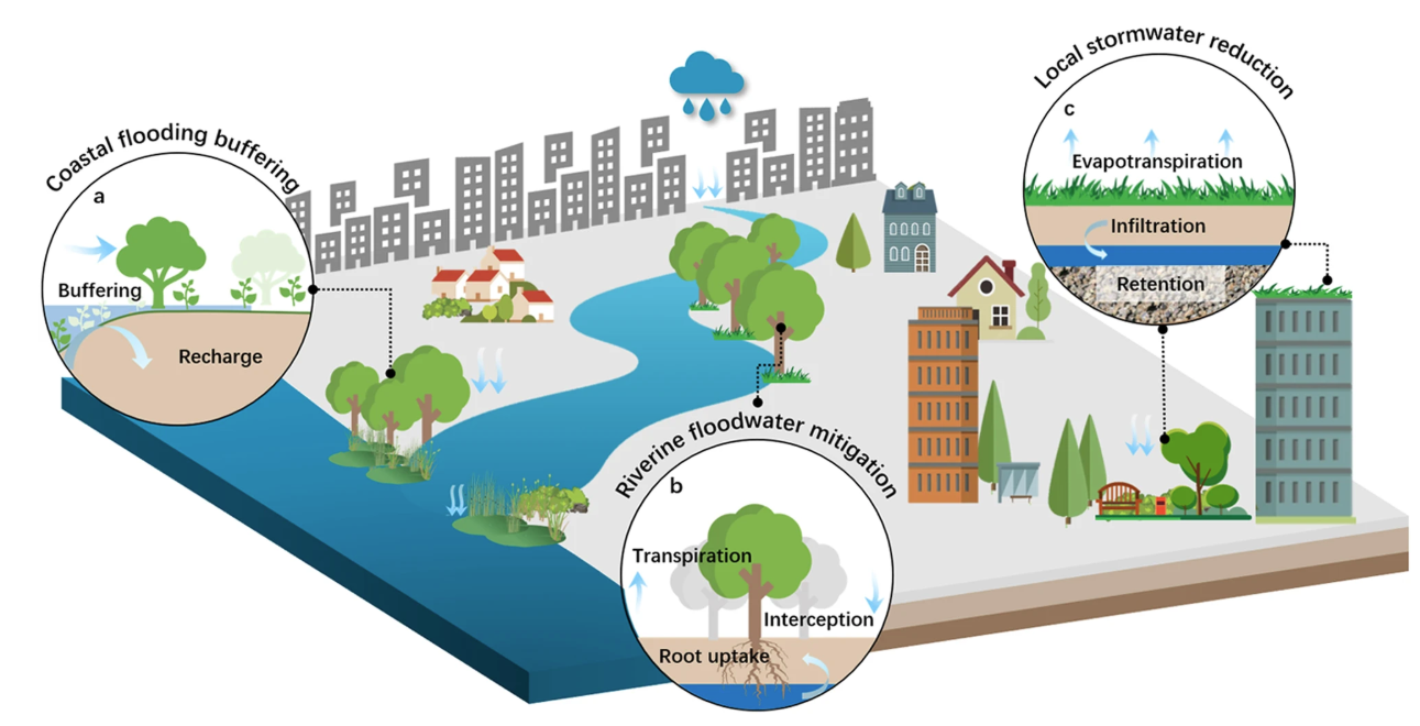 🏙️ Urban Planning Failures Leading to Environmental Risks (2019–2025)