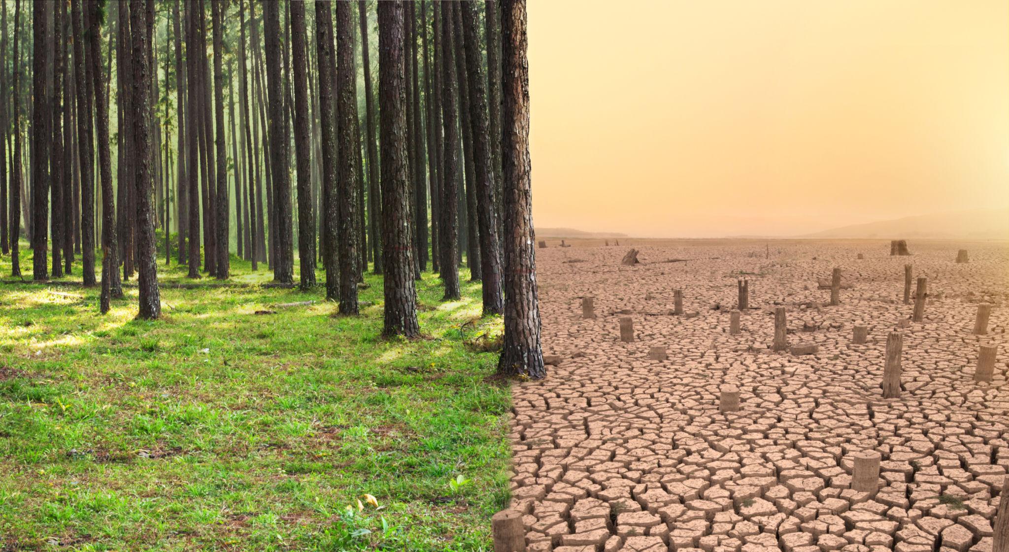 🌍 HowToSurvive Climate Change?