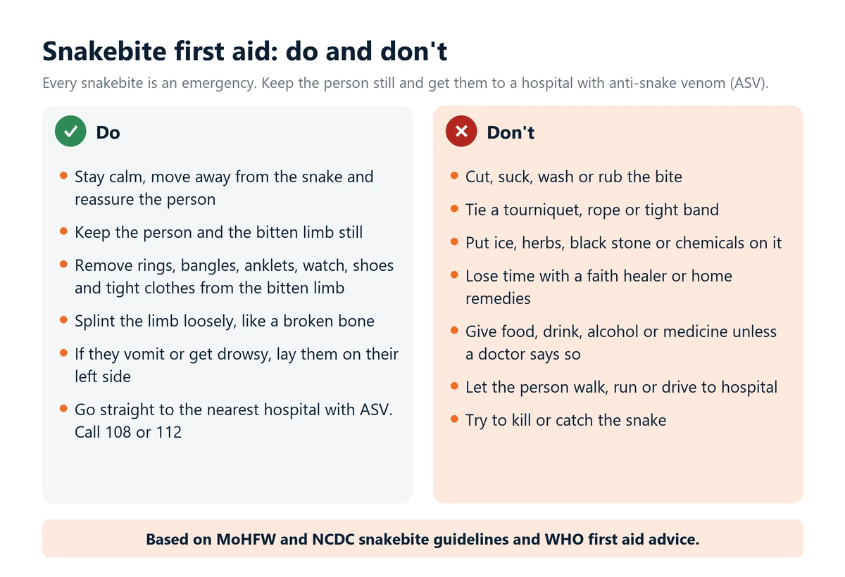 Infographic: snakebite first aid do and don't. Do keep calm and still, remove rings and tight items, splint the limb loosely, lay a vomiting person on the left side and go to a hospital with anti-snake venom, calling 108 or 112. Do not cut, suck, tie, ice or use home remedies.